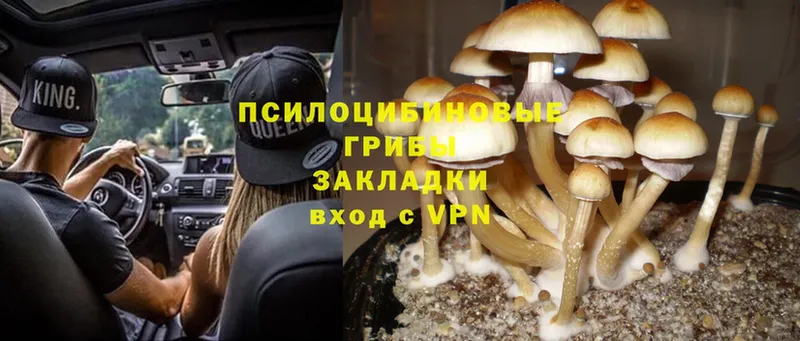 Псилоцибиновые грибы Magic Shrooms  MEGA онион  Краснотурьинск 